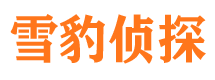 炉霍外遇调查取证